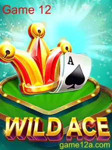 Explorando o Mundo de WildAce: Tudo o que Você Precisa Saber sobre Game 12